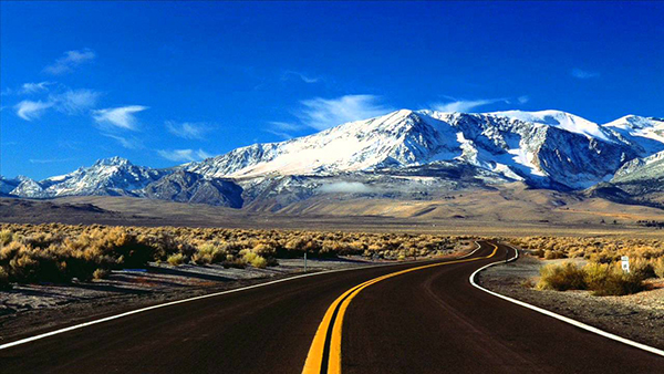 Team of asphalt service experts