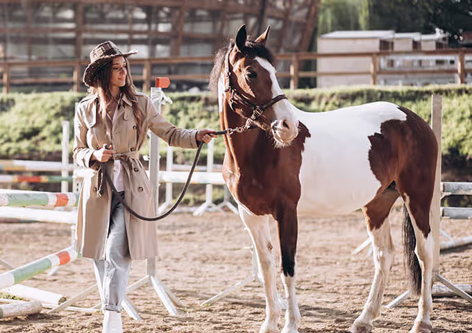 horse owners working in barn feeding program