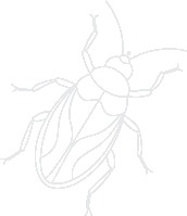 spider-bot-left