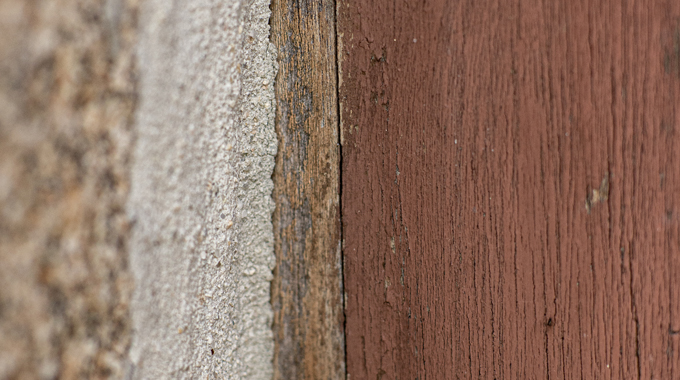 Common-Signs-of-Termite-Activity
