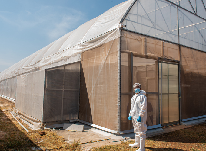 Coordinating-Professional-Termite-Fumigation-for-Severe-Infestations