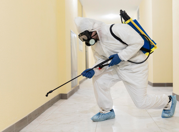 DIY-Termite-Treatments-Eliminate-Colonies