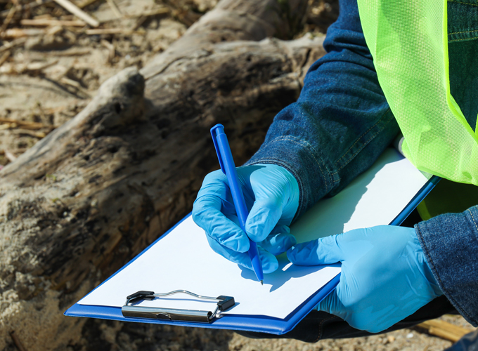 How-Termite-Inspections-Help-Identify-Solutions
