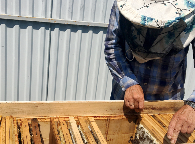 Our-Wood-Treatment-and-Preservation-Process