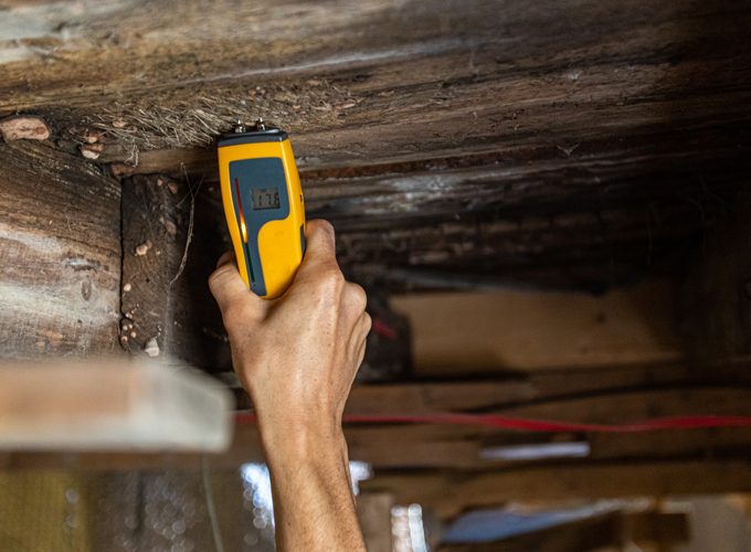 Professional-Wood-Destroying-Organism-(WDO)-Inspection-Reports