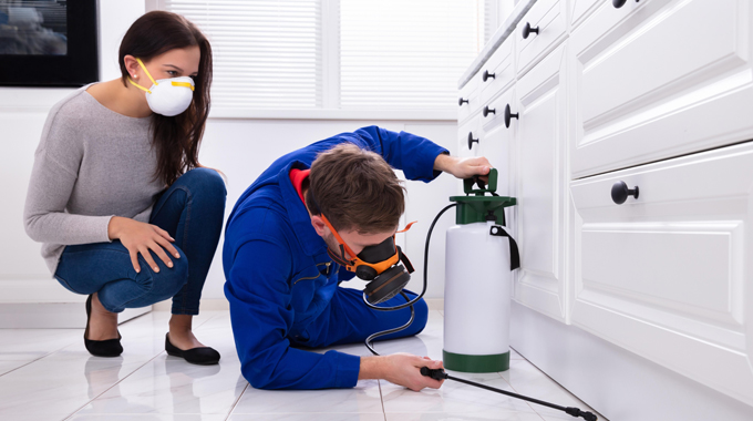 Protecting-Your-Property-After-Fumigation