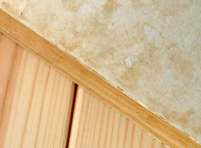 Real-Termite-Inspection-Findings-and-Property-Protection-Results