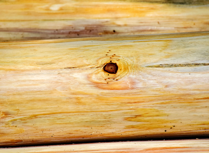Signs-Wood-May-Need-Professional-Treatment