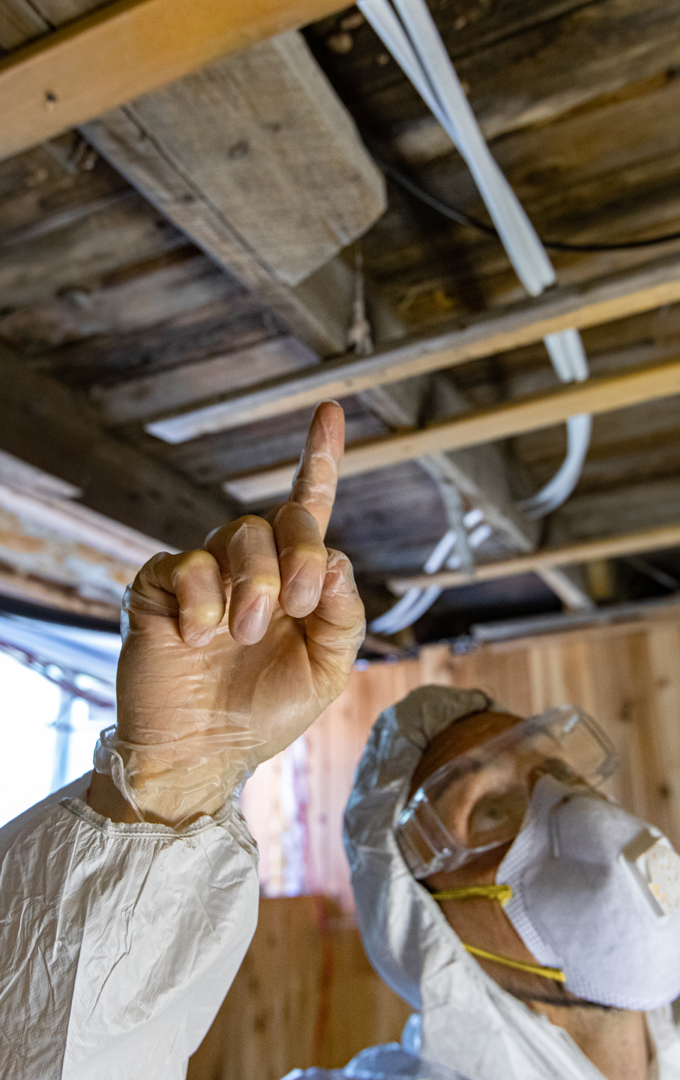Termite-Activity-Identified-in-a-Commercial-Property