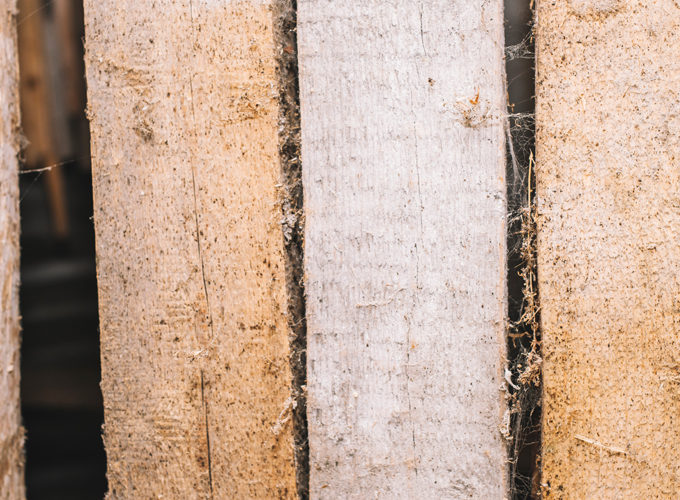 Understanding-How-Termites-Damage-Wood-Structures