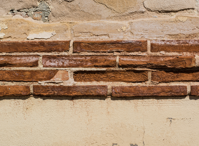Understanding-Termites-and-How-They-Damage-Structures