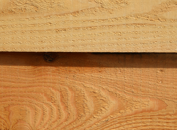 Warning-Signs-of-Termite-Activity