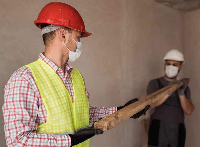 Why-Understanding-Termite-Facts-Matters
